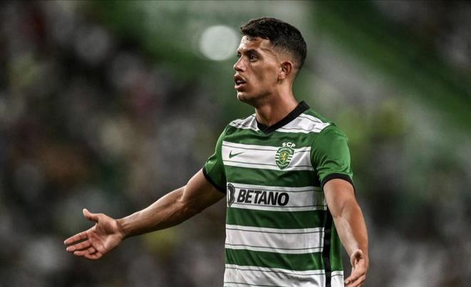 打乱了对手 打乱了对手